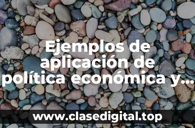 Ejemplos de aplicación de política económica y Significado