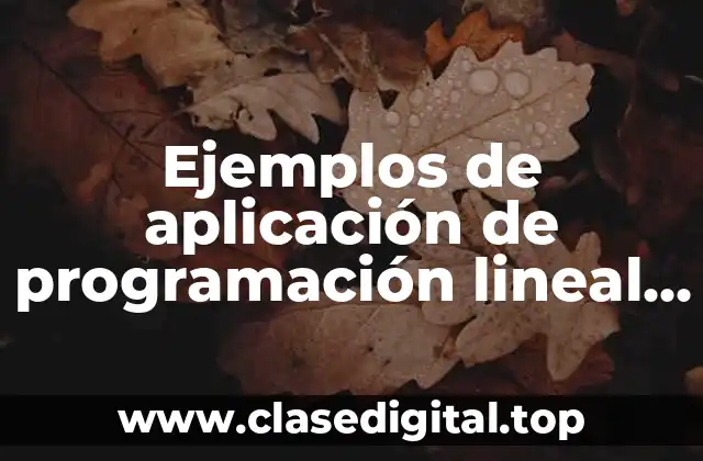 Ejemplos de aplicación de programación lineal y Significado
