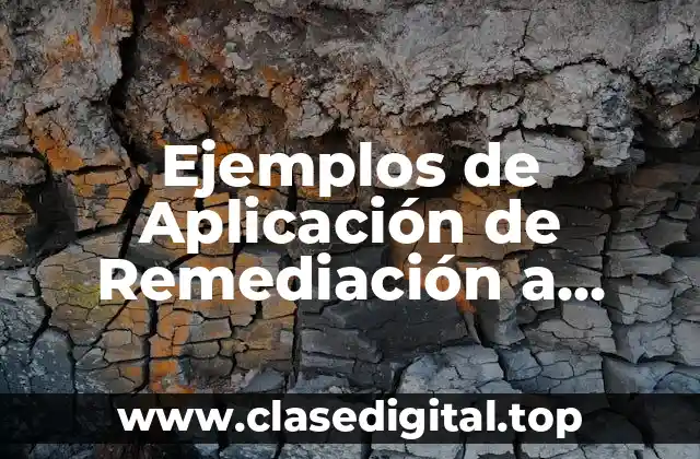 Ejemplos de Aplicación de Remediación a Pesticidas