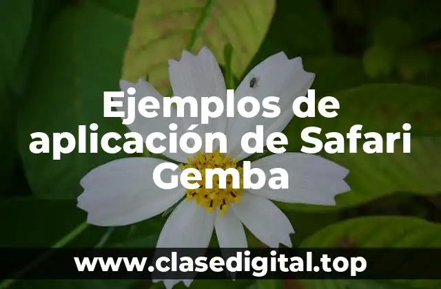 Ejemplos de aplicación de Safari Gemba