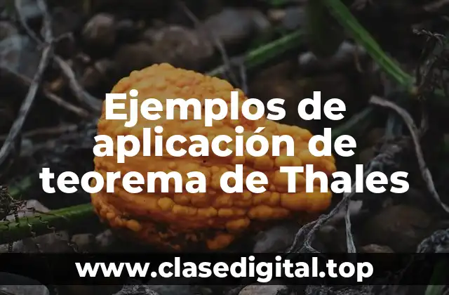 Ejemplos de aplicación de teorema de Thales
