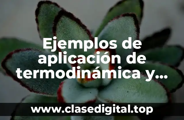 Ejemplos de aplicación de termodinámica y Significado