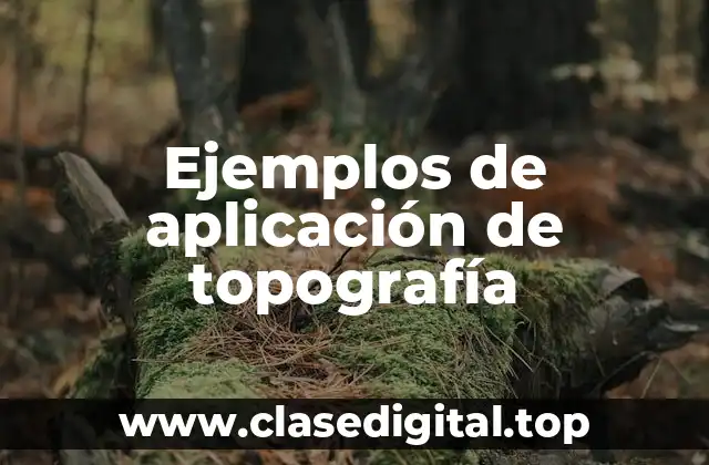 Ejemplos de aplicación de topografía