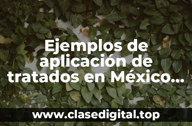 Ejemplos de aplicación de tratados en México con otros países.