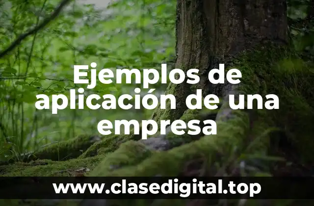 Ejemplos de aplicación de una empresa
