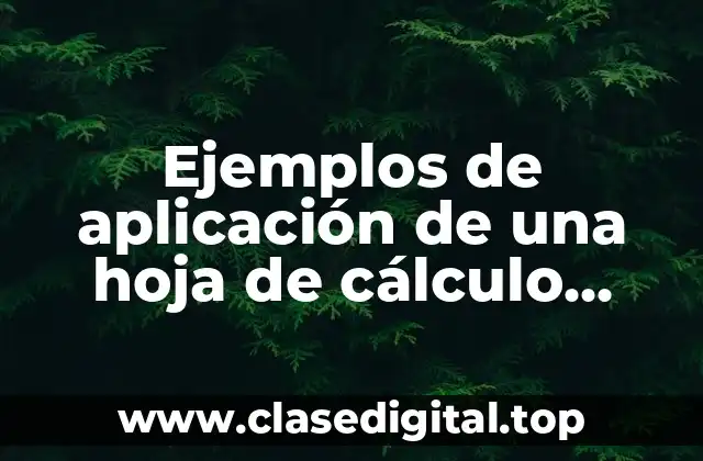 Ejemplos de aplicación de una hoja de cálculo educativa