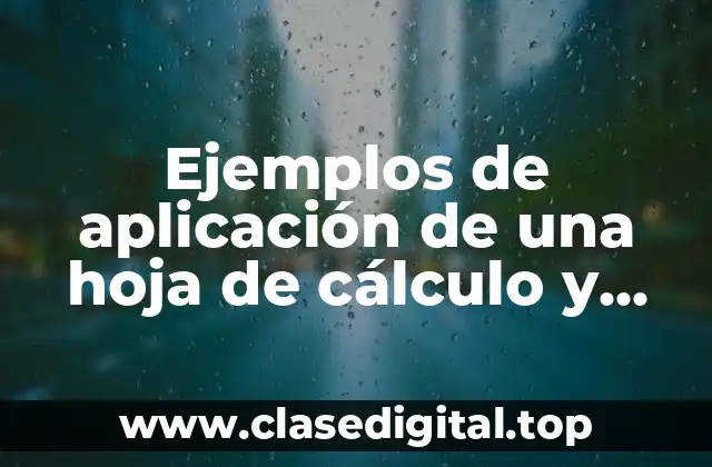 Ejemplos de aplicación de una hoja de cálculo y Significado