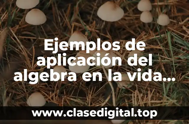Ejemplos de aplicación del algebra en la vida cotidiana
