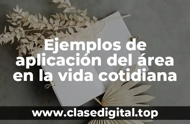 Ejemplos de aplicación del área en la vida cotidiana