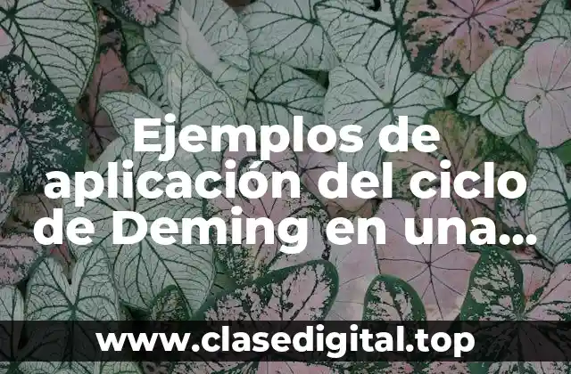 Ejemplos de aplicación del ciclo de Deming en una empresa
