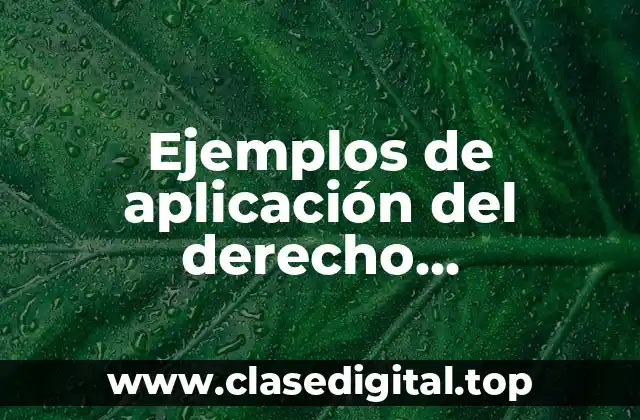 Ejemplos de aplicación del derecho internacional privado