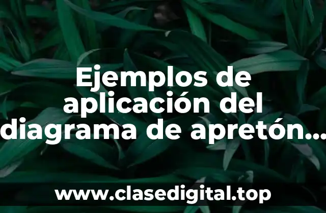 Ejemplos de aplicación del diagrama de apretón