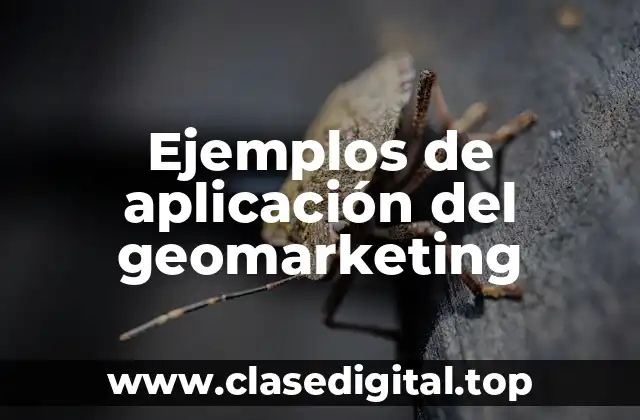 Ejemplos de aplicación del geomarketing