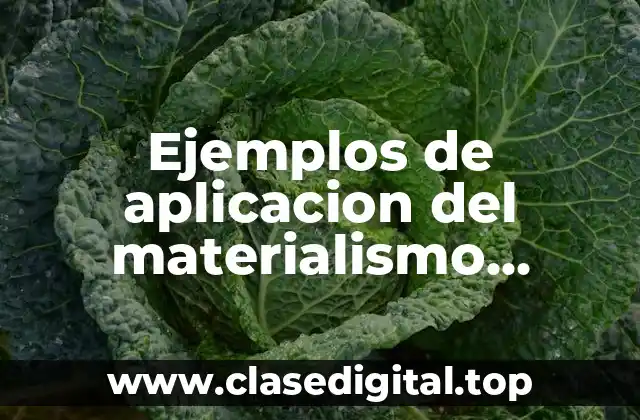 Ejemplos de aplicación del materialismo dialectico