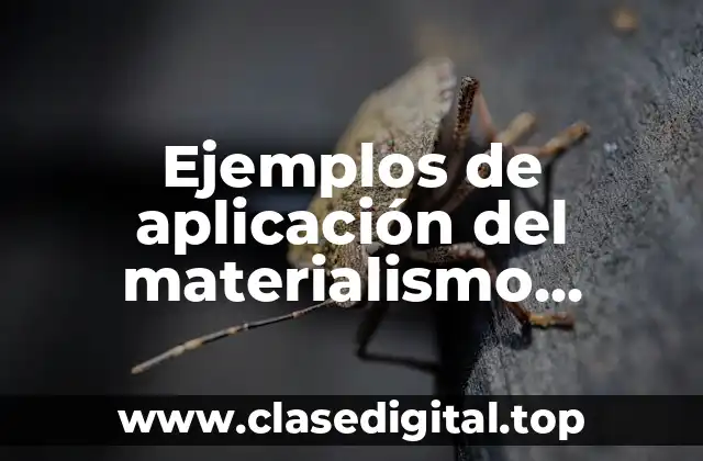 Ejemplos de aplicación del materialismo dialectico en la vida cotidiana