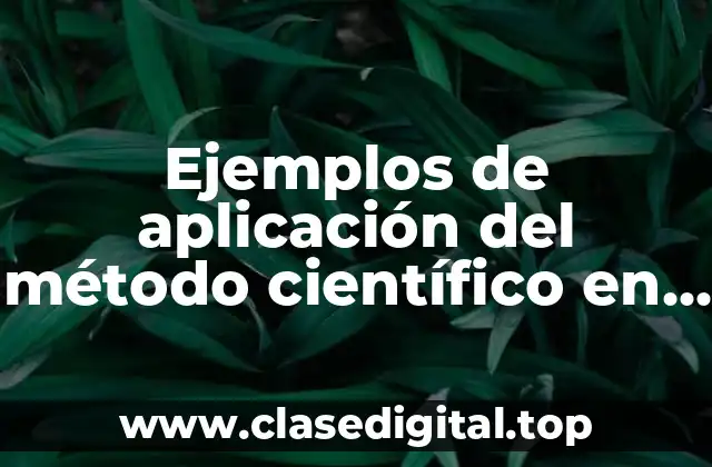 Ejemplos de aplicación del método científico en la economía y Significado