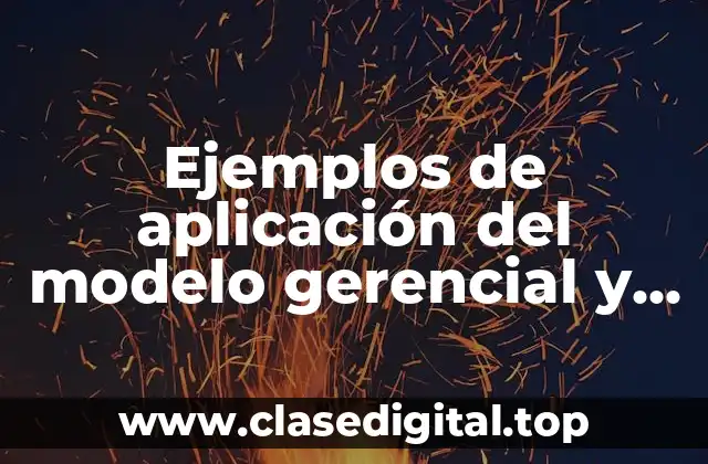 Ejemplos de aplicación del modelo gerencial