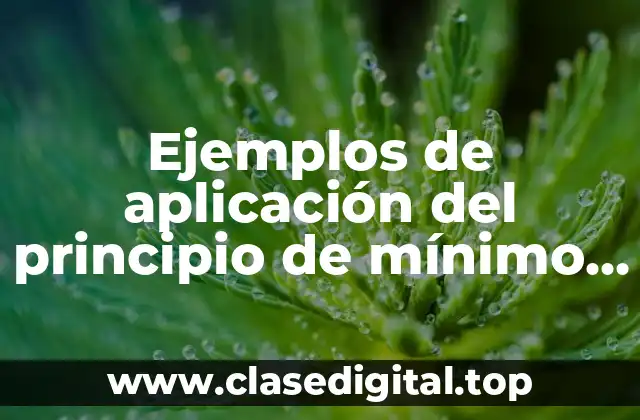 Ejemplos de aplicación del principio de mínimo privilegio