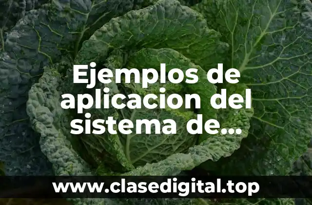 Ejemplos de aplicacion del sistema de informacion administrativa y Significado