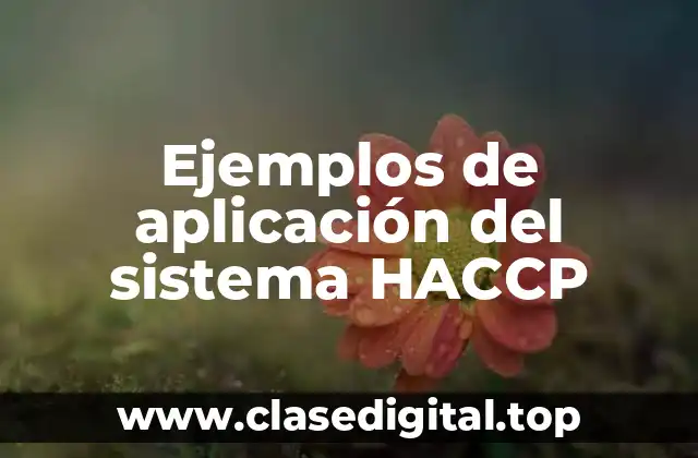 Ejemplos de aplicación del sistema HACCP
