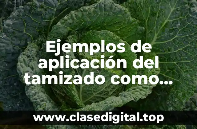 Ejemplos de aplicación del tamizado como técnica de depuración y Significado