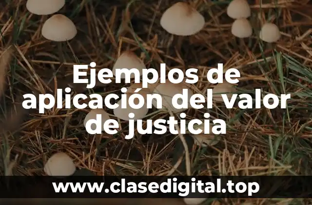 Ejemplos de aplicación del valor de justicia