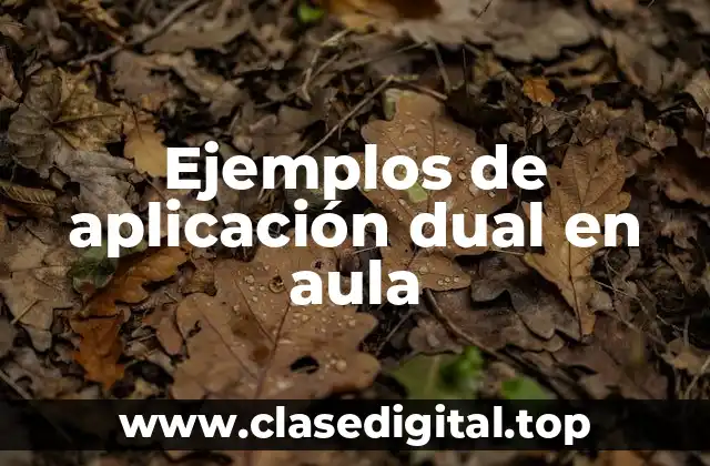 Ejemplos de aplicación dual en aula