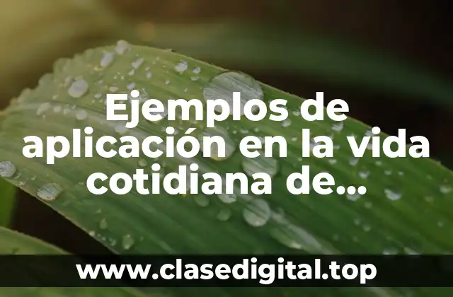 Ejemplos de aplicación en la vida cotidiana de Pitagoras y Significado