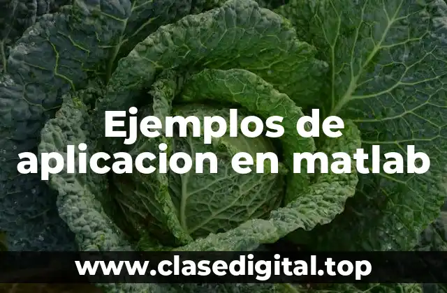 Ejemplos de aplicacion en matlab
