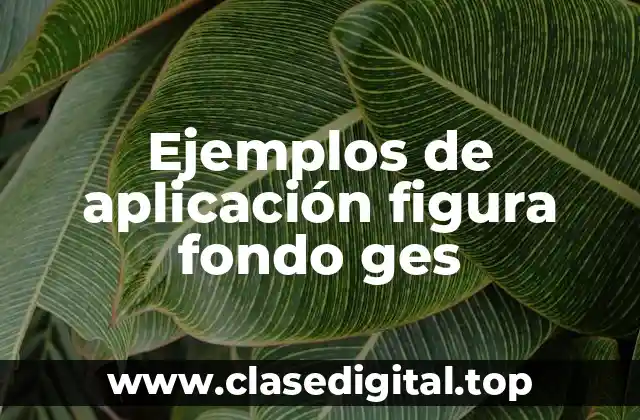 Ejemplos de aplicación figura fondo ges