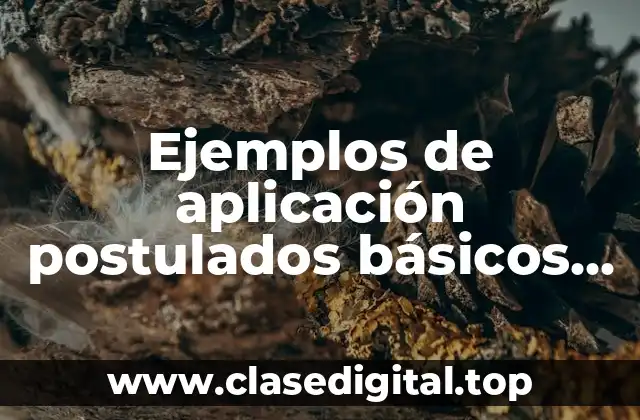 Ejemplos de aplicación postulados básicos de contabilidad gubernamental