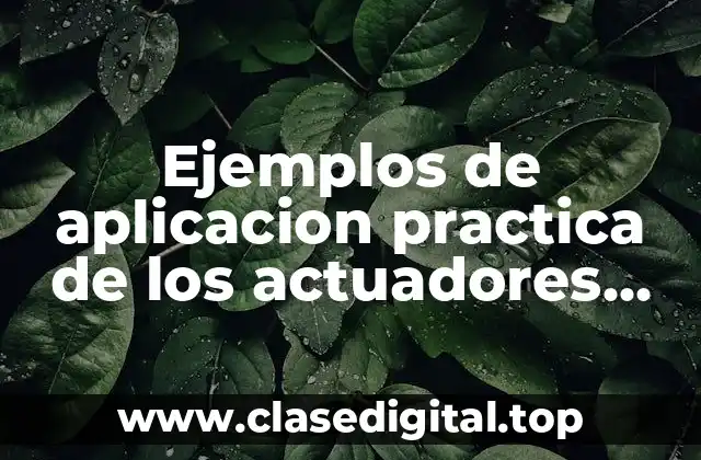 Ejemplos de aplicacion practica de los actuadores hidraulicos