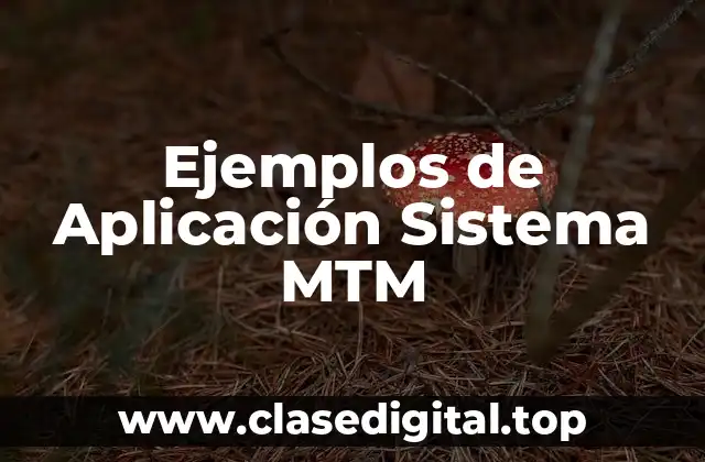 Ejemplos de Aplicación Sistema MTM