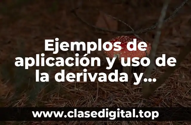 Ejemplos de aplicación y uso de la derivada y Significado