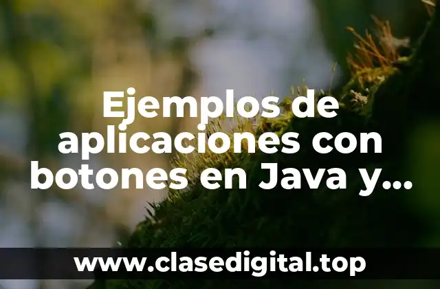 Ejemplos de aplicaciones con botones en Java y Significado