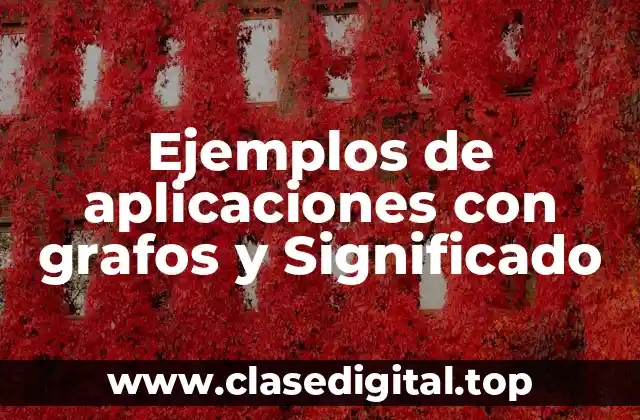 Ejemplos de aplicaciones con grafos y Significado