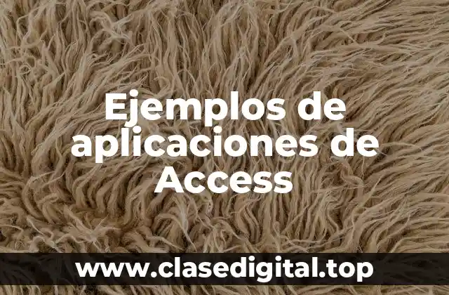 Ejemplos de aplicaciones de Access