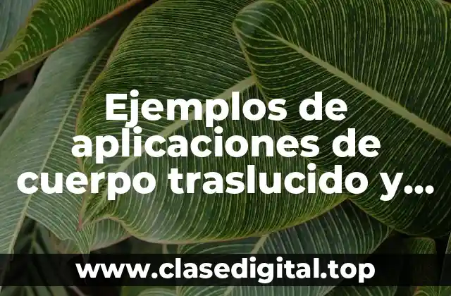 Ejemplos de aplicaciones de cuerpo traslucido y Significado