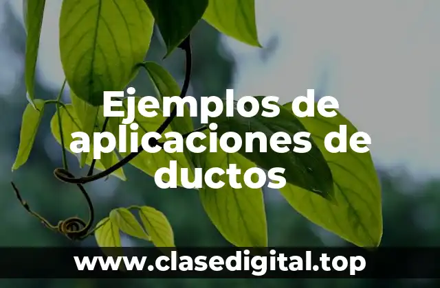 Ejemplos de aplicaciones de ductos