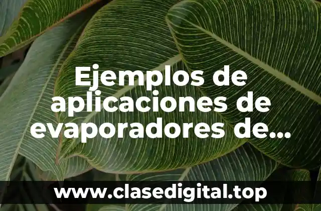 Ejemplos de aplicaciones de evaporadores de circulación forzada