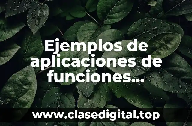 Ejemplos de aplicaciones de funciones vectoriales en la ingeniería