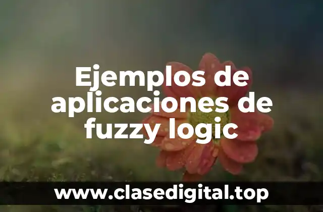 Ejemplos de aplicaciones de fuzzy logic