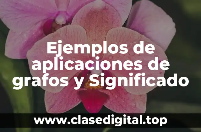 Ejemplos de aplicaciones de grafos y Significado