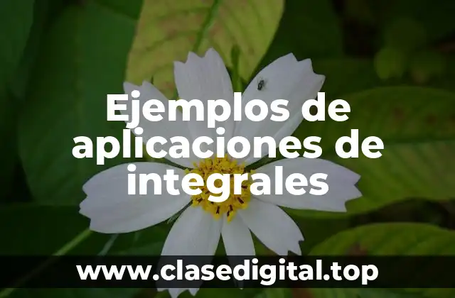 Ejemplos de aplicaciones de integrales