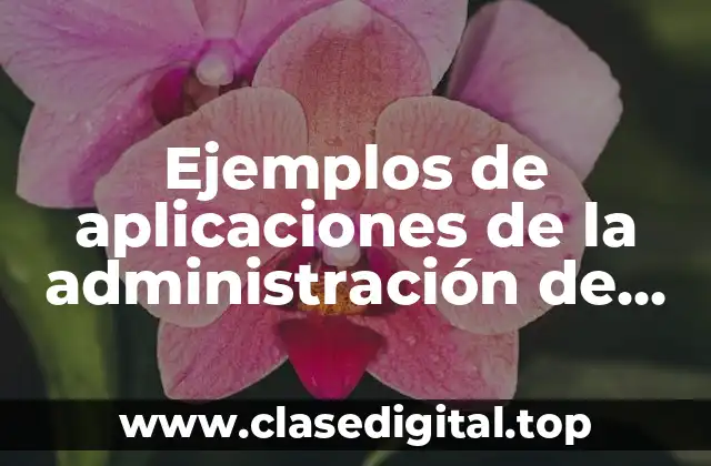 Ejemplos de aplicaciones de la administración de operaciones