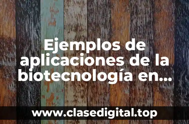 Ejemplos de aplicaciones de la biotecnología en alimentos y Significado