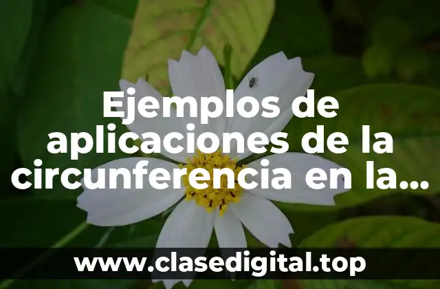 Ejemplos de aplicaciones de la circunferencia en la escuela