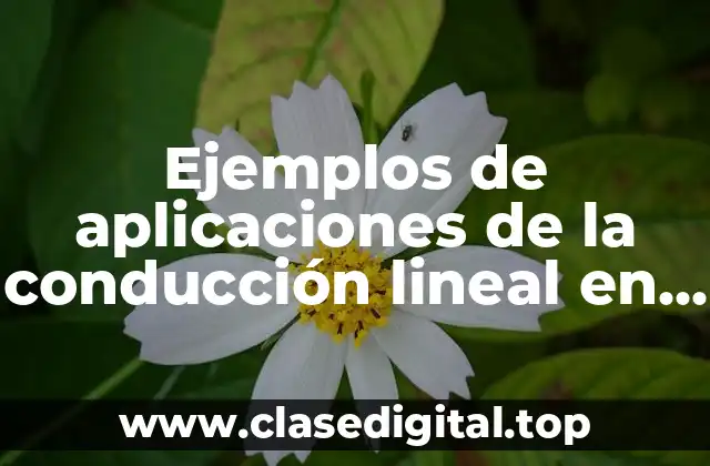Ejemplos de aplicaciones de la conducción lineal en procesos industriales
