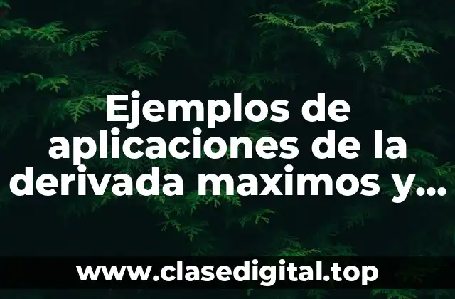 Ejemplos de aplicaciones de la derivada maximos y minimos