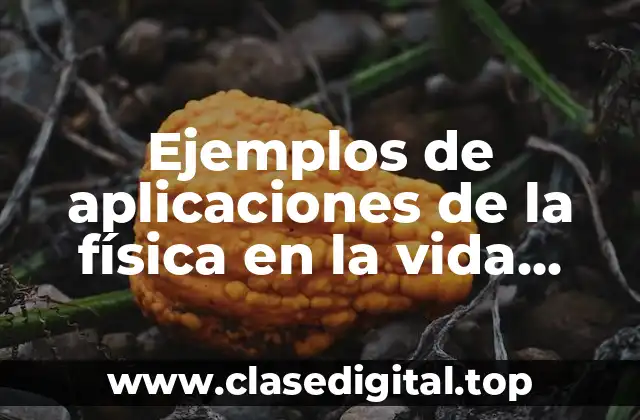 Ejemplos de aplicaciones de la física en la vida cotidiana